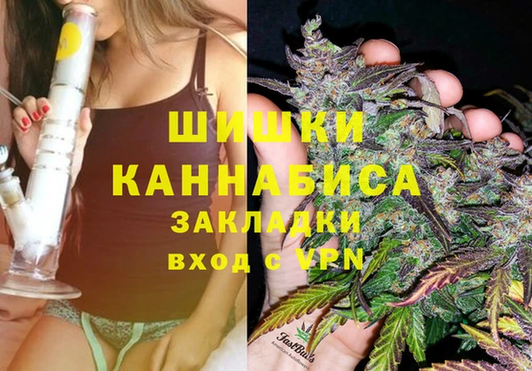 марки lsd Белокуриха