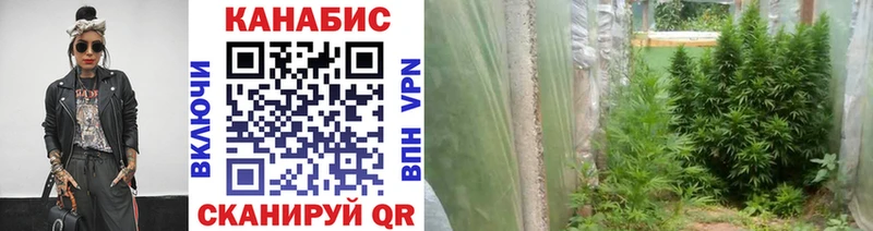 blacksprut онион  Новое Девяткино  darknet какой сайт  Шишки марихуана тримм 